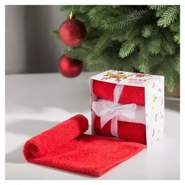 Набор махровых полотенец этель Hello Winter 30х30 см - 3 шт, хлопок 340гр/м2