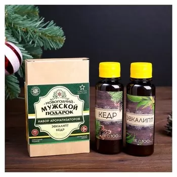 Набор "Мужской подарок": 2 ароматизатора, 100 мл