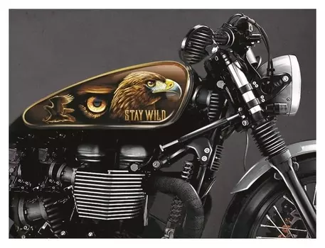 Набор наклеек на мотоцикл «Орёл», 2 шт