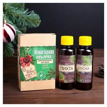 Набор "Новогодняя посылочка": 2 ароматизатора, 100 мл