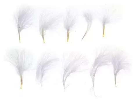 Набор перьев для декора 10 шт., размер 1 шт: 7 × 7 см, цвет белый