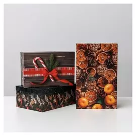 Набор подарочных коробок 3 в 1 «Фотографичный», 32,5 х 20 х 12,5 - 26 х 17 х 10 см