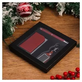 Набор подарочный 3в1 Ручка, брелок, визитница 16,5х17х 2,7 см