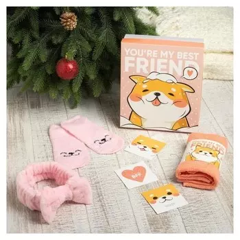 Набор подарочный "Friend"