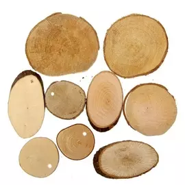 Набор природного декора "Лесная сказка"