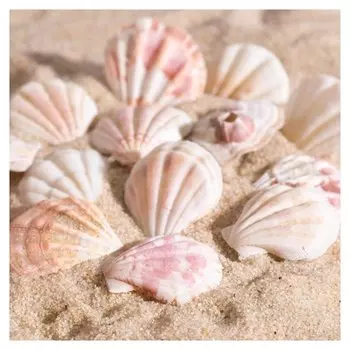 Набор ракушек 4-5 см, 100 г