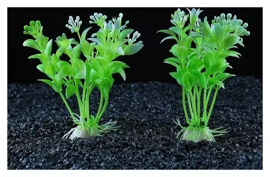 Набор растений искусственных для аквариума (2 шт), 12 см
