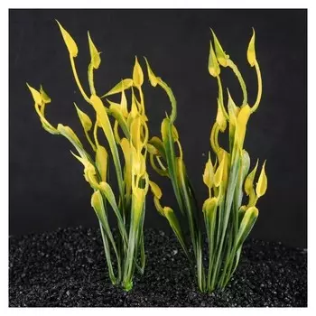 Набор растений искусственных для аквариума (2 шт), 24 см