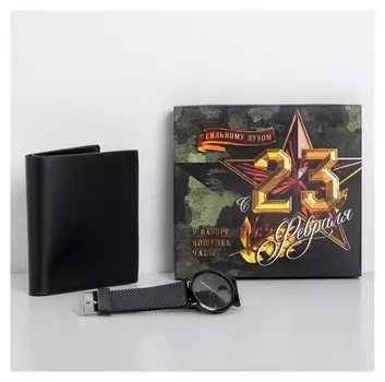 Набор «С 23 февраля!», кошелек и наручные часы