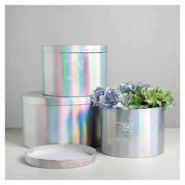 Набор шляпных коробок для цветов 3 в 1 с голографией «Чудесные цветы», 18 × 13 см - 25 × 15 см