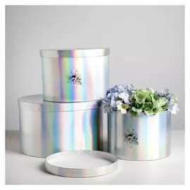 Набор шляпных коробок для цветов 3 в 1 с голографией «Геометрия», 18 × 13 см - 25 × 15 см