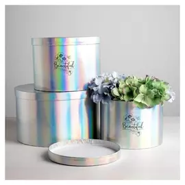 Набор шляпных коробок для цветов 3 в 1 с голографией «Ты прекрасна», 18 × 13 см - 25 × 15 см