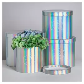 Набор шляпных коробок для цветов 4 в 1 с голографией «Только для тебя», 14 × 13 см - 20 × 17,5 см