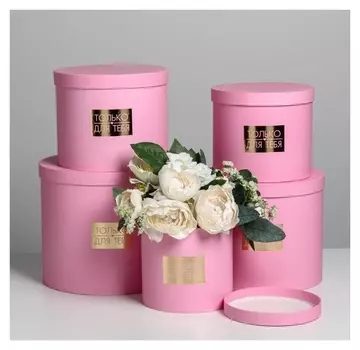 Набор шляпных коробок для цветов 5 в 1 «Нежность», 14 × 13 см - 22 × 19,5 см