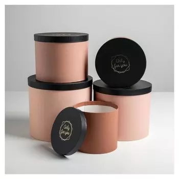 Набор шляпных коробок для цветов 5 в 1 «Нежный нюд», 14 × 13 см - 22 × 19,5 см