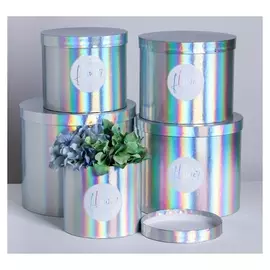 Набор шляпных коробок для цветов 5 в 1 с голографией «Нежность цветка», 14 × 13 см - 22 × 19,5 см