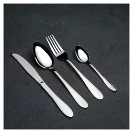 Набор столовых приборов «Моника», 4 предмета