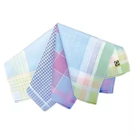 Набор женских носовых платков в пакете этника, 28х28, 12 шт. х/б