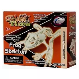Наглядное пособие Скелет Лягушки