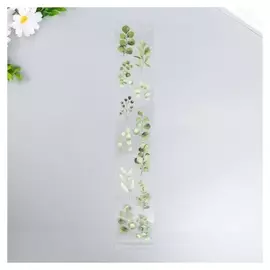 Наклейка для творчества "Эвкалипт" 35х6 см