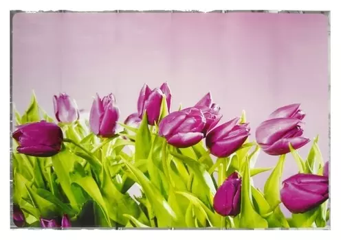 Наклейка на кафельную плитку "Фиолетовые тюльпаны" 60х90 см