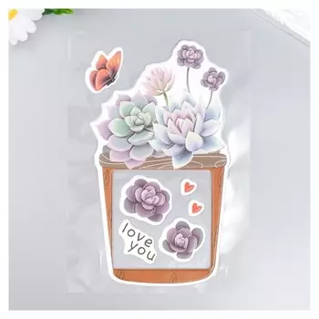 Наклейка на выключатель "Суккуленты в горшочке" окно 8,5х8,5 см, объемная 26х16,5 см