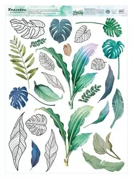 Наклейка виниловая «Тропики»,интерьерная, 50 х 70 см