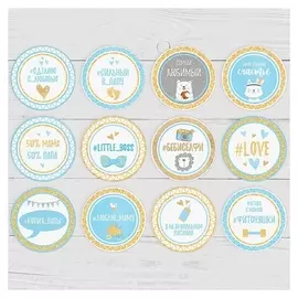 Наклейки для фотографирования "Цветы голубые", в пакете