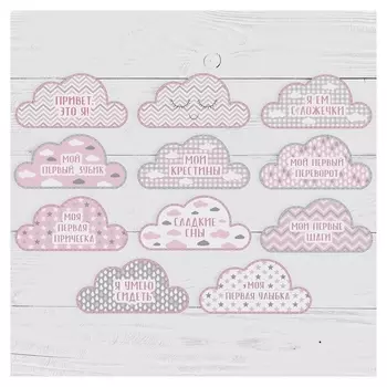 Наклейки для фотографирования "Ежик розовый", в пакете