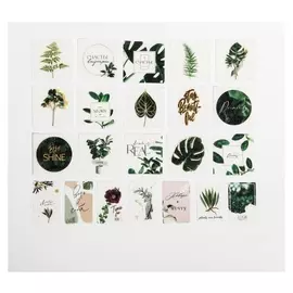 Наклейки на кальке «Ботаника», 40 шт.