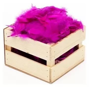 Наполнитель из перьев для шаров и подарков, фуксия, 6гр.