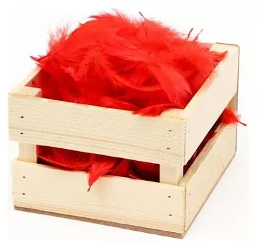 Наполнитель из перьев для шаров и подарков, красный, 6гр.