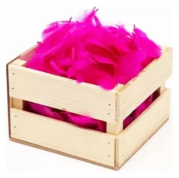 Наполнитель из перьев для шаров и подарков, ярко розовый, 6гр.