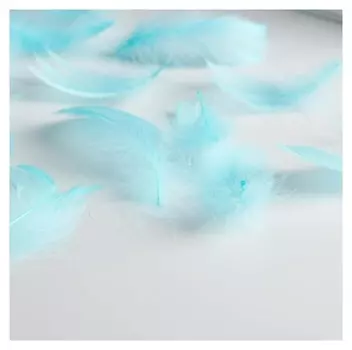 Наполнитель из перьев для шаров и подарков «С наилучшими пожеланиями», 15 х 11 см