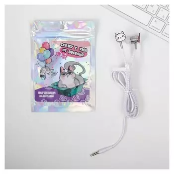 Наушники на молнии «Схожу с ума от веселья», 10 х 15 см