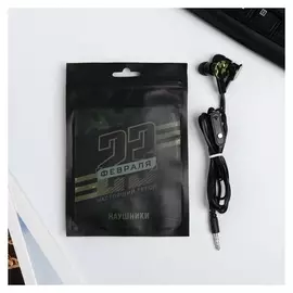 Наушники вакуумные в пакете «Настоящий герой», с микрофоном, 1,2 м, 10 х 15 см