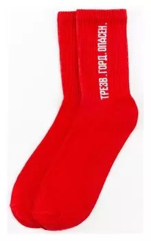 Носки мужские Kaftan "Трезв" р. 41-44 (27-29 см)