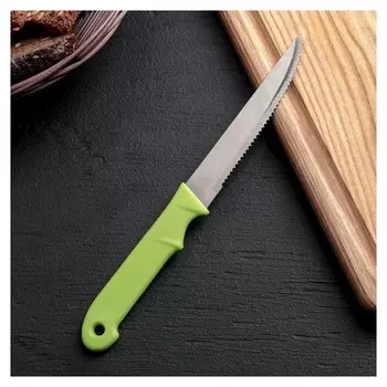 Нож кухонный «Акли», зубчатое лезвие 10,5 см