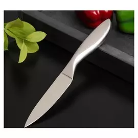 Нож кухонный доляна Salomon, овощной, лезвие 9,5 см