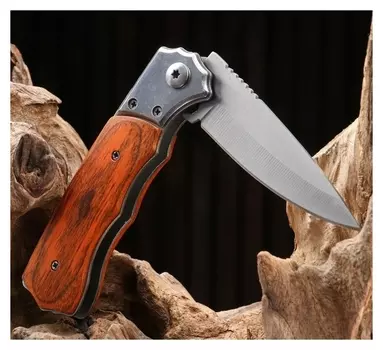 Нож складной "Фарт" сталь - 420, рукоять - бакелит, 20 см