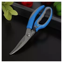 Ножницы для птицы доляна «Барон»