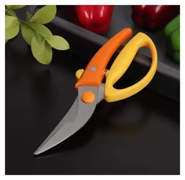 Ножницы для птицы доляна «Салем»