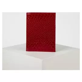 Обложка для автодокументов 2 в 1 с портмоне из натуральной кожи питона Цвет красный