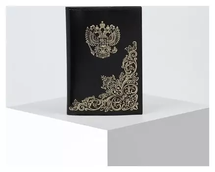 Обложка для автодокументов, 9,5*0,3*13,5 "Народная", черный