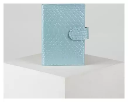 Обложка для автодокументов, цвет голубой