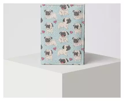 Обложка для автодокументов, цвет голубой