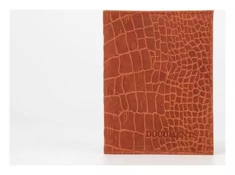 Обложка для автодокументов, цвет терракотовый