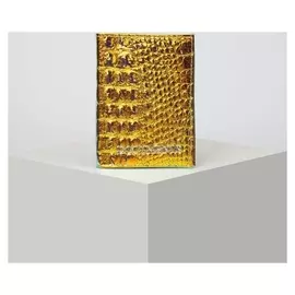 Обложка для автодокументов, цвет золотистый