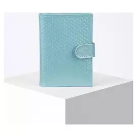 Обложка для автодокументов и паспорта, цвет голубой