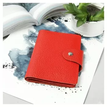 Обложка для автодокументов и паспорта, доллар, цвет алый